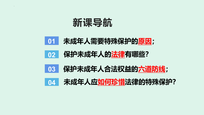 10.1法律为我们护航  课件(共27张PPT)