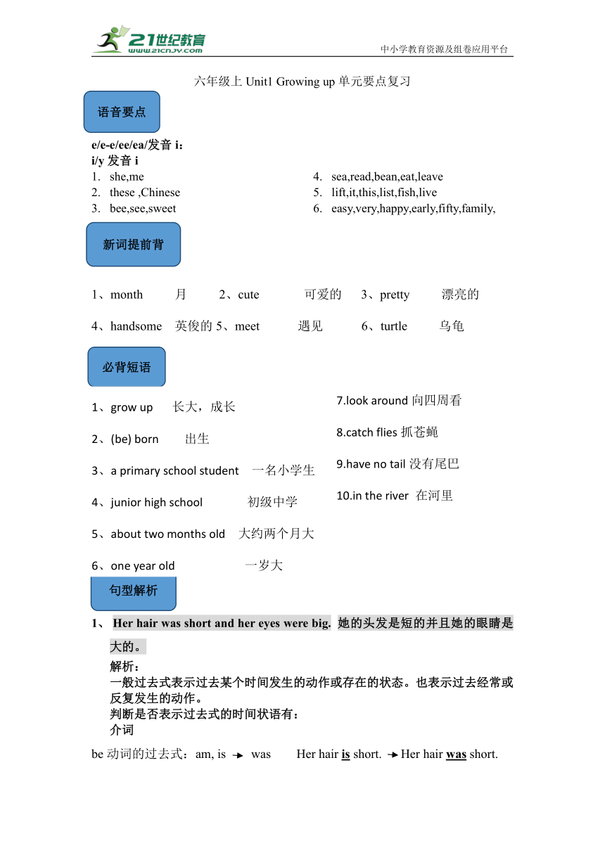 Unit1 Growing up 单元要点复习学案（含答案）