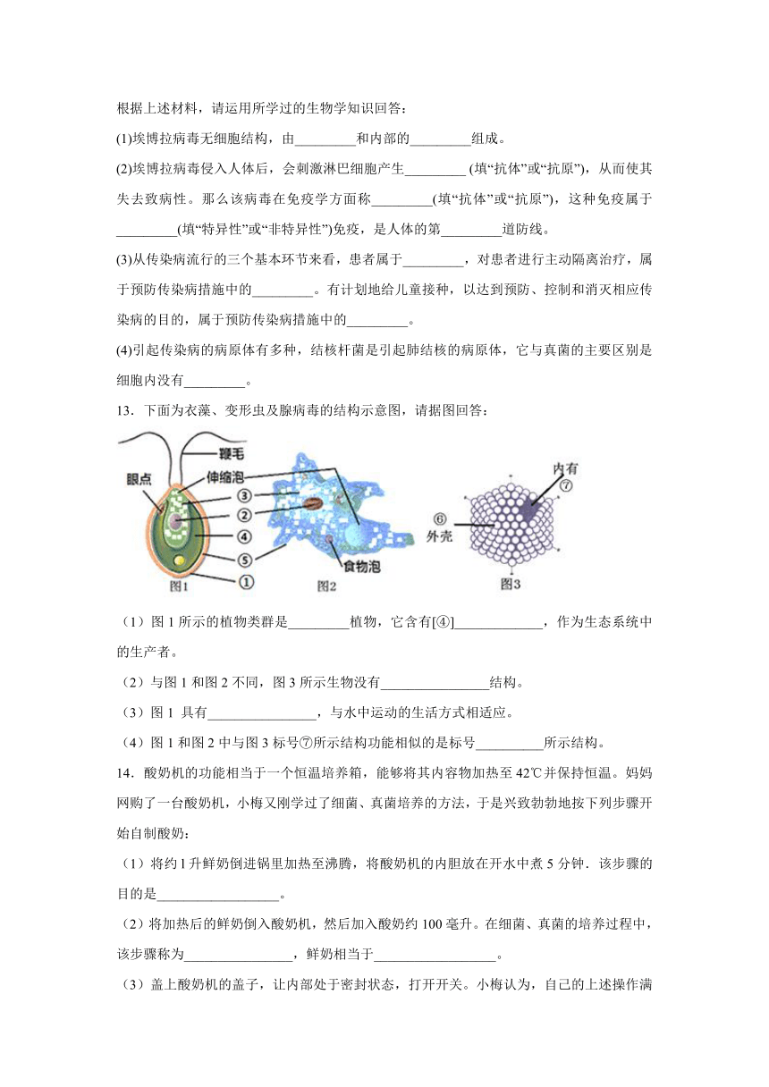 【会考专训】中考生物会考复习专项训练10：广泛分布的真菌和细菌（含解析）