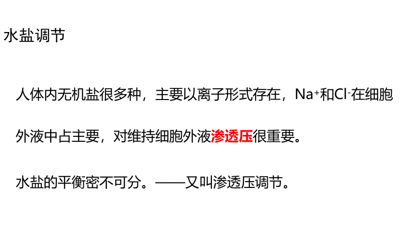 2021-2022学年高二上学期生物苏教版（2019）选择性必修1  2.3水盐平衡的调节课件(共21张PPT)