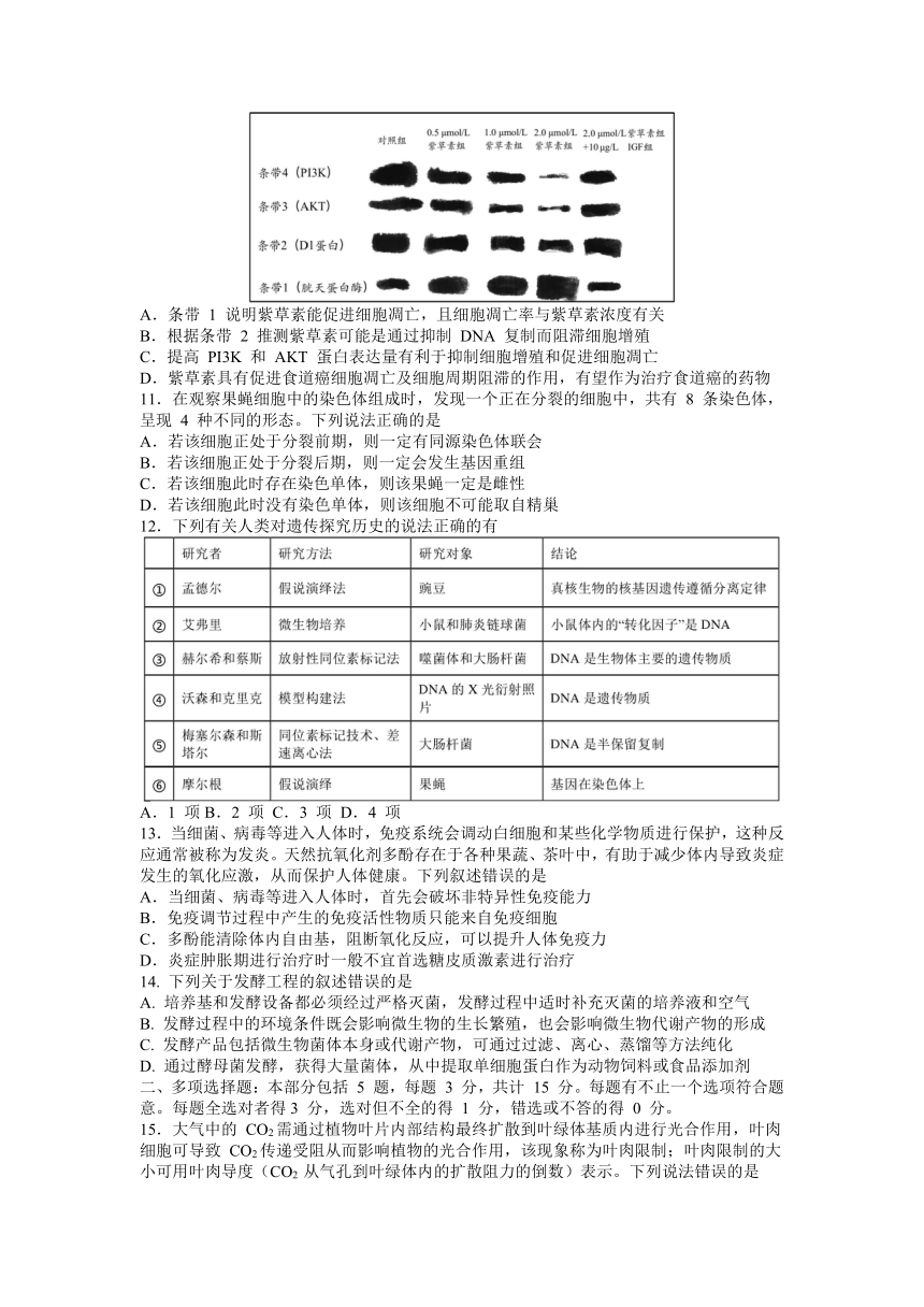 2023届江苏省扬州市高三下学期5月考前调研测试（三模）生物学试题（Word版含答案）