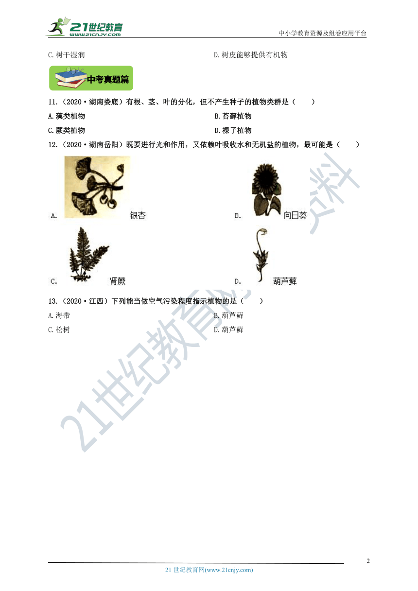 1.3.4 苔藓植物和蕨类植物 精编练习(含答案)