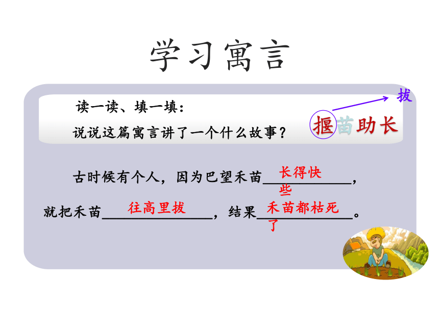 部编版语文 二年级下册12揠苗助长示范课件（共23张ppt）