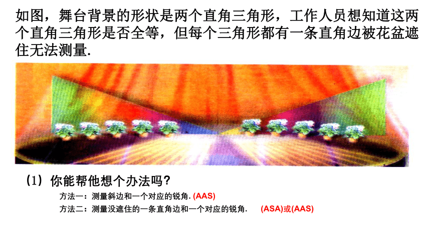 沪教版（上海）初中数学八年级第一学期 19.7 直角三角形全等的判定 课件（15张）