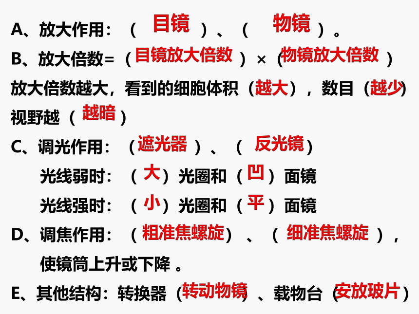 2021--2022学年冀教版生物七年级上册1.1开启生物科学之门 复习课件(共13张PPT)