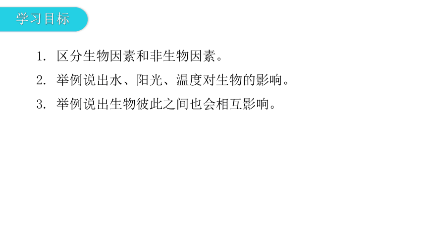 2020-2021学年八年级生物下册（北师大版）  23.1  生物的生存依赖一定的环境 课件（共28张PPT）