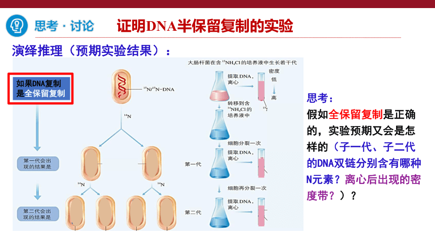 3.3  DNA的复制课件(共33张PPT2份视频)-人教版必修2