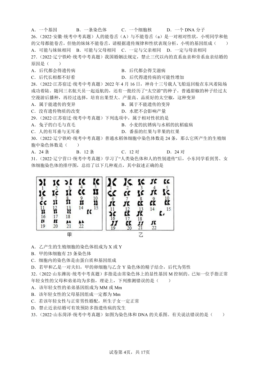 2023年人教版生物八年级下册7.2 生物的遗传与变异 复习题（无答案）