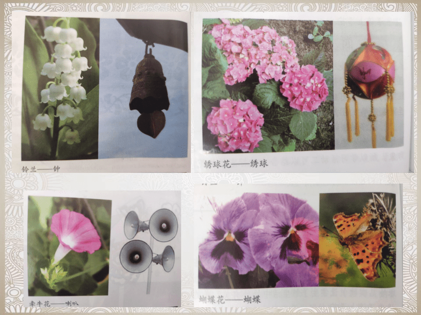 湘美版 四年级美术上册 6. 花儿朵朵  课件（21张PPT）