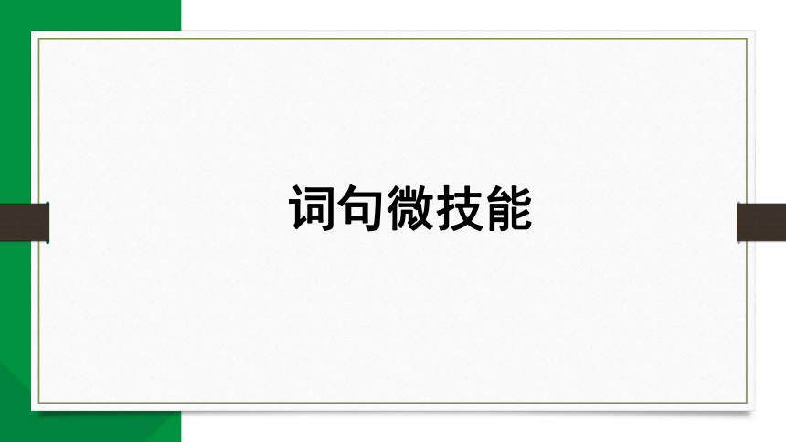 2024年安徽省中考九年级英语二轮专题复习 词句微技能（共29张PPT）