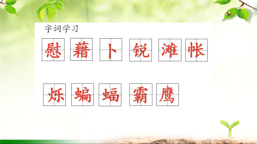 3《天窗》  课件(共30张PPT)