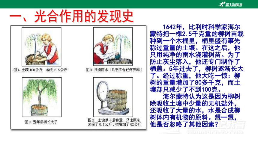 人教版七年级生物上册3.5.1 光合作用吸收二氧化碳释放氧气同步课件(共16张PPT)