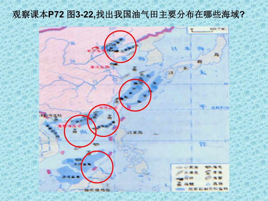 3.4中国的海洋资源课件 2022-2023学年湘教版八年级地理上册(共31张PPT)