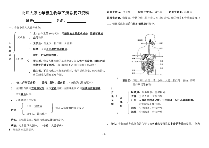 2021-2022学年北师大版七年级生物学下册 总复习资料（word版 ）