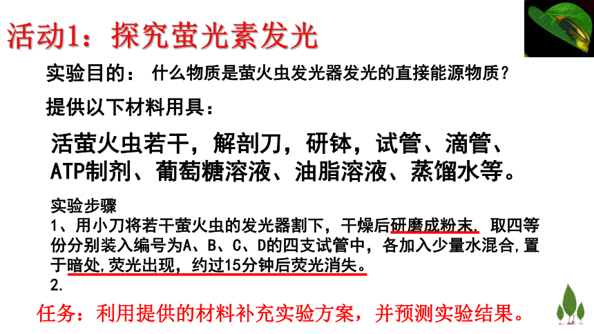 2022-2023学年高一上学期生物浙科版（2019）必修1-3.1ATP是细胞内的“能量通货”课件（24张ppt）