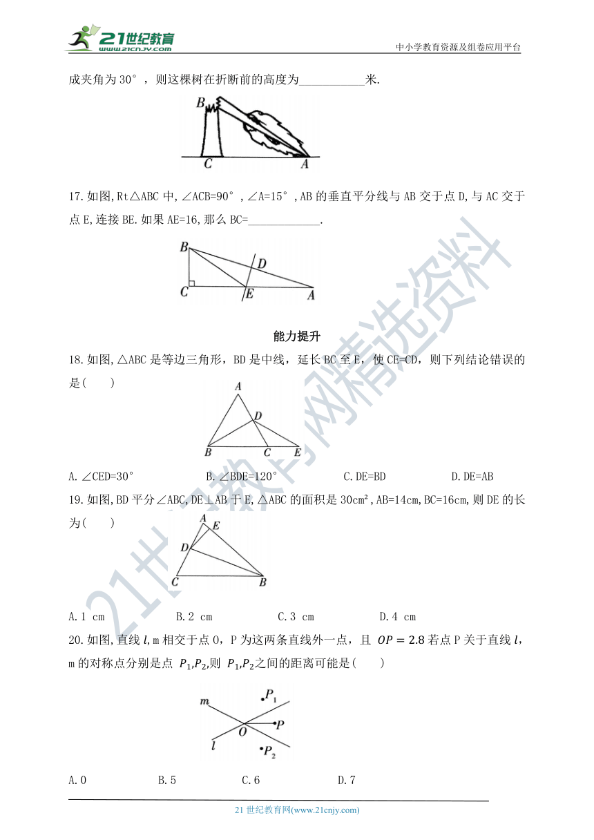 2.3  简单的轴对称图形  同步练习（含答案）