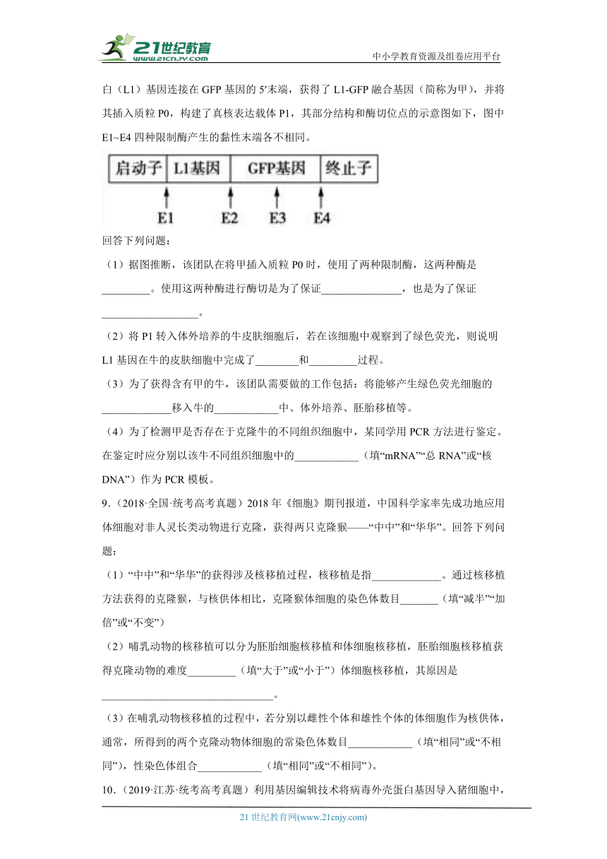 五年2018-2022高考生物真题按知识点分类汇编96-生物技术工程-细胞工程、动物细胞体细胞的核移植技术和克隆动物（含解析）