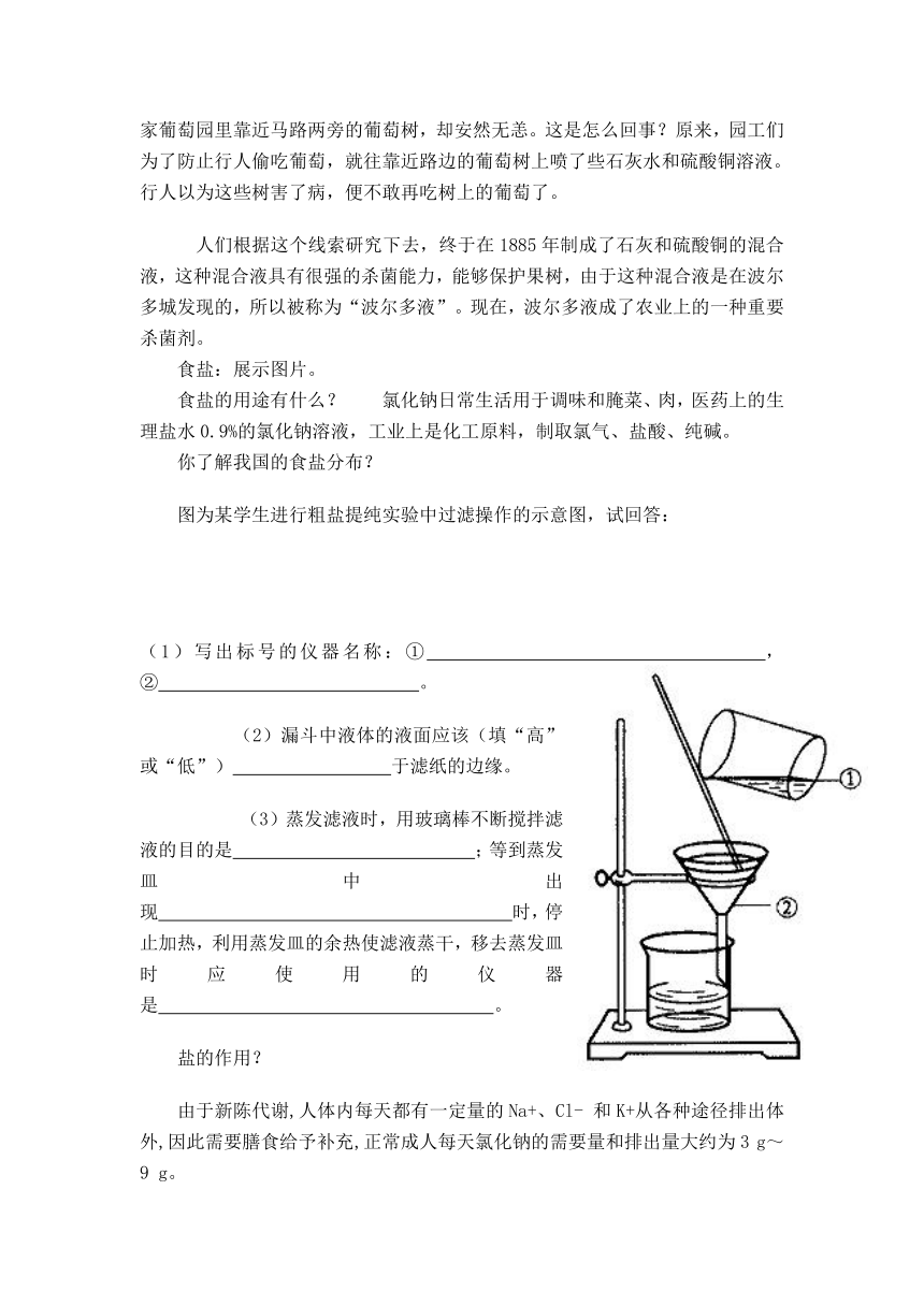 九年级化学人教版（五四学制）全一册  第四单元  课题1  生活中常见的盐 第1课时 教案