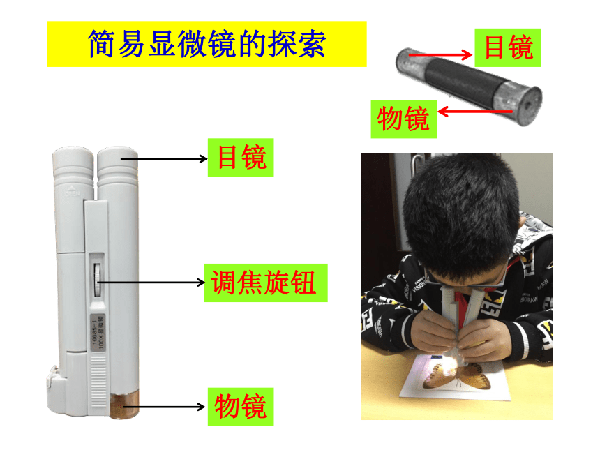 教科版（2017秋）小学科学 六年级上册 1.2怎样把物体放的更大 课件(共10张PPT)