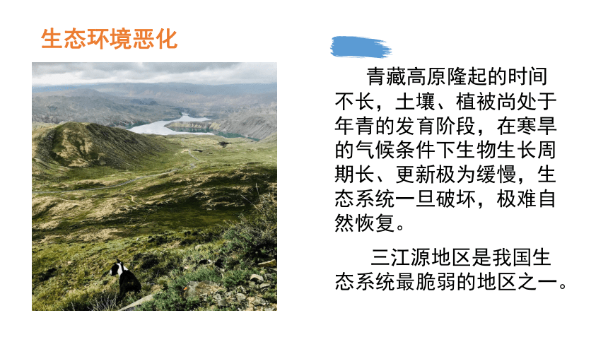9.2 高原湿地——三江源地区第2课时课件（23张PPT)