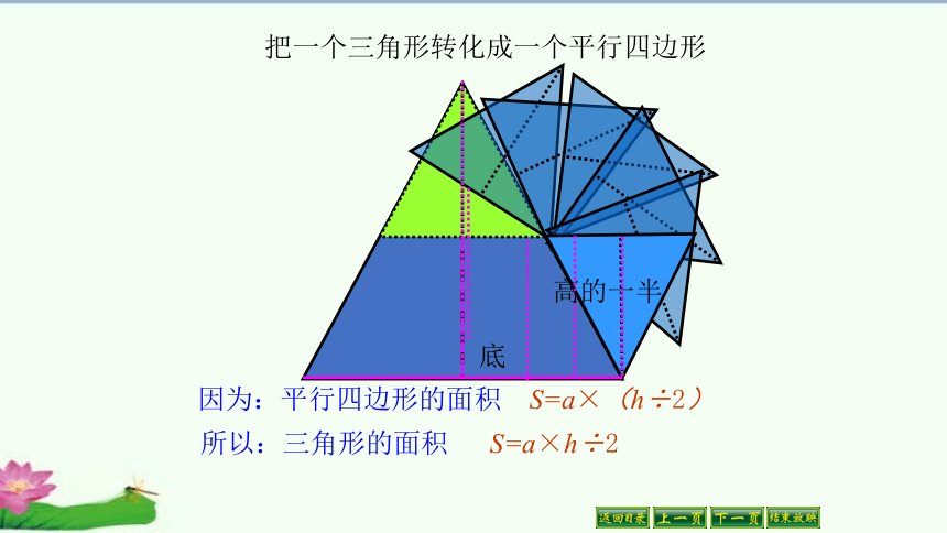 梯形的面积（课件）人教版五年级上册数学（共24张ppt）