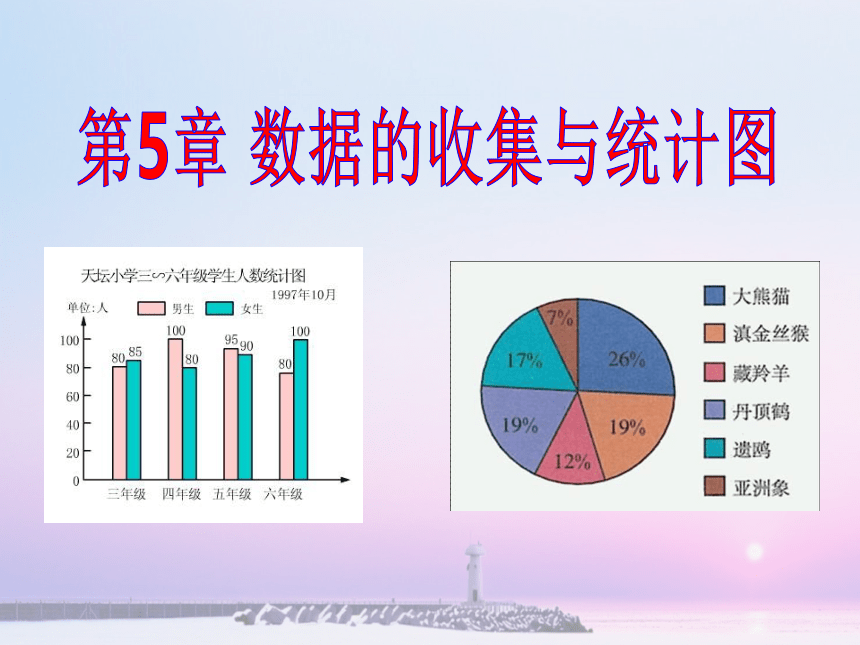 湘教版（2012）初中数学七年级上册5.1  数 据 的 收 集与抽 样 课件（36张）