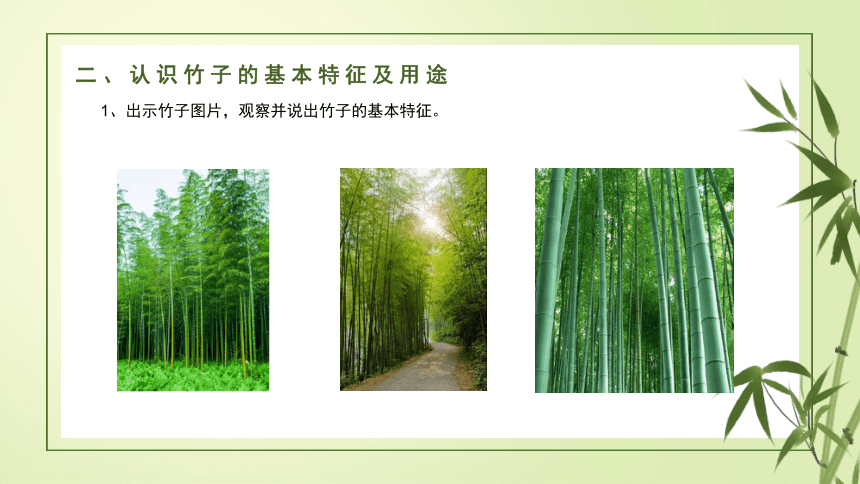 有用的竹子-课件(共14张PPT)   低年级劳技活动通用