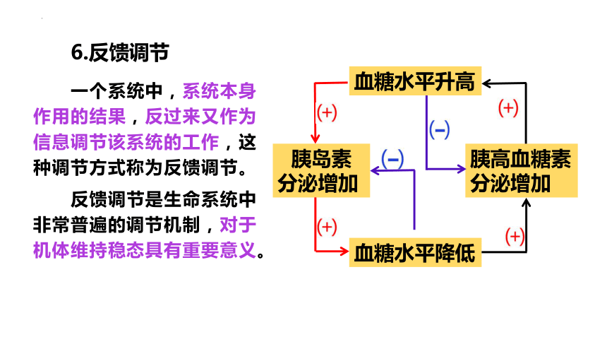 高中生物人教版(2019)选择性必修1 3.2激素调节的过程（共45张ppt）