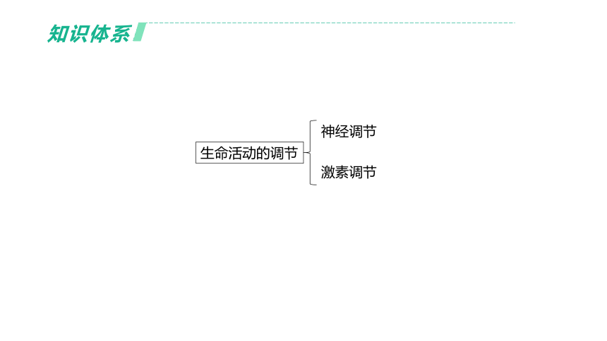 2022年浙江省中考科学一轮复习 第08课时　生命活动的调节（课件 38张PPT）