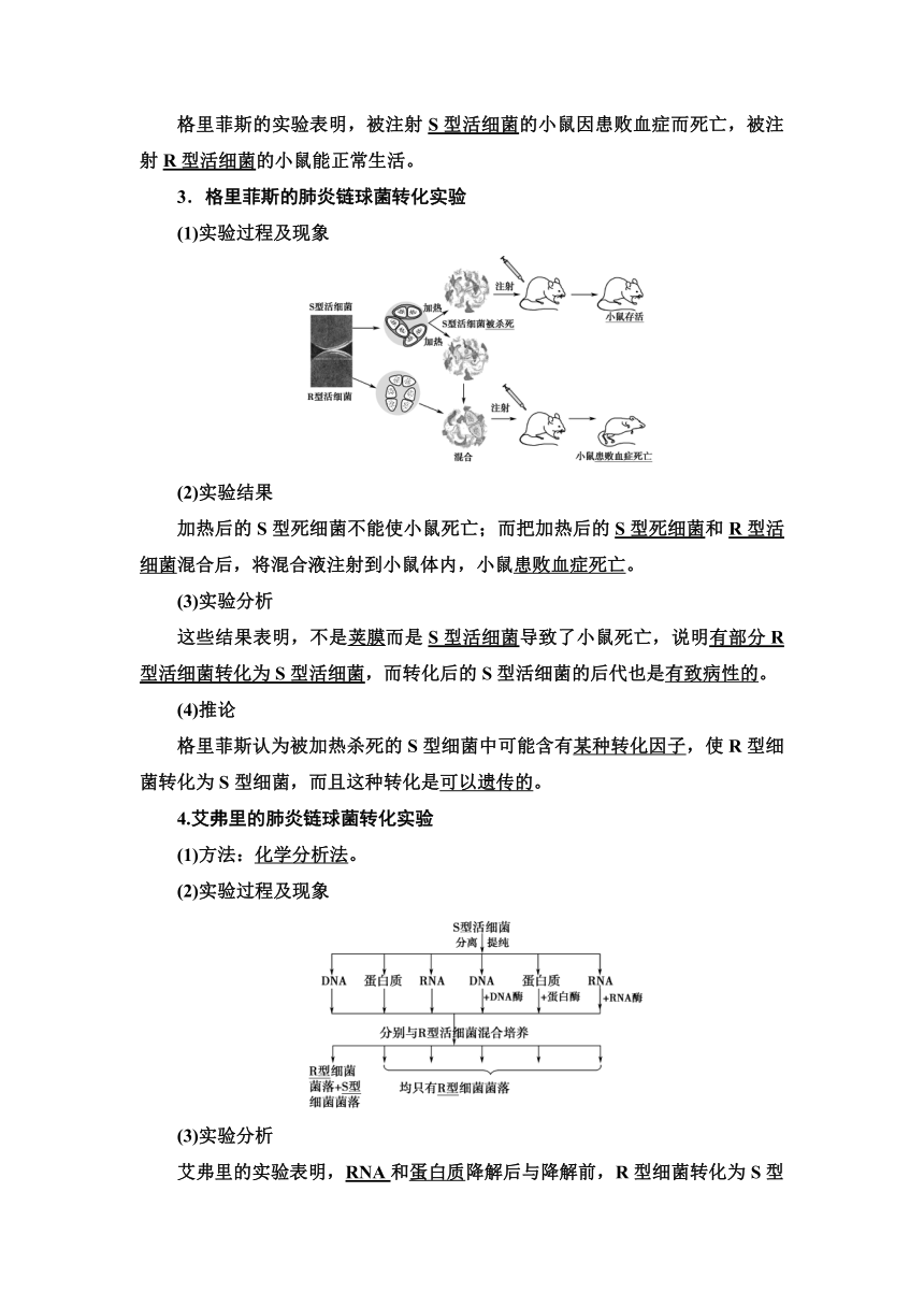 2020-2021学年苏教版（2019）高中生物： 必修2 第2章 第1节 DNA是主要的遗传物质 学案（ Word版含解析）