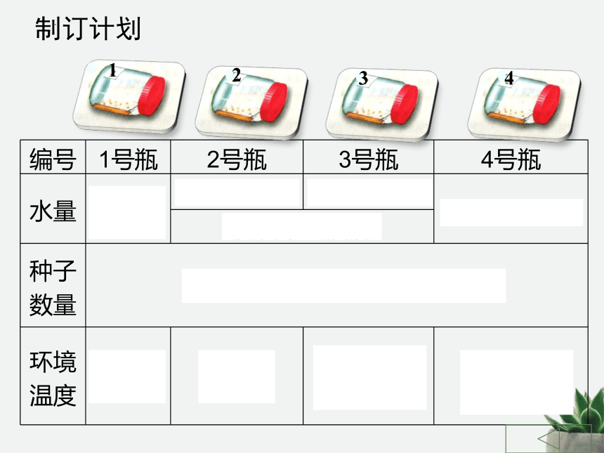 3.2.1种子的萌发课件(共20张PPT)2022--2023学年人教版生物七年级上册