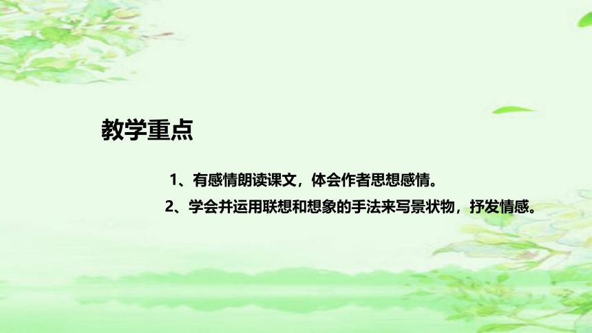 4《繁星》  说课课件(共35张PPT)