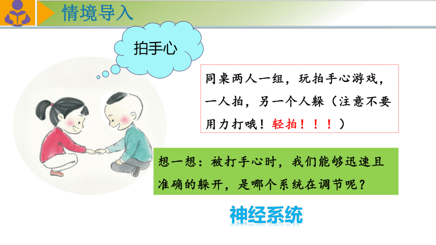 4.12.2人体的神经调节（第一课时）课件 (共34张PPT)苏教版生物七年级下册