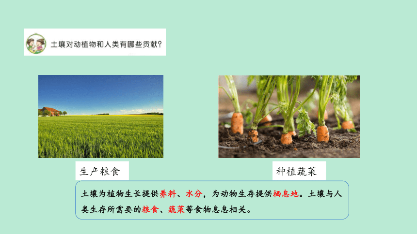 苏教版（2017秋）三年级科学上册7.保护土壤 课件(共16张PPT)（含练习）