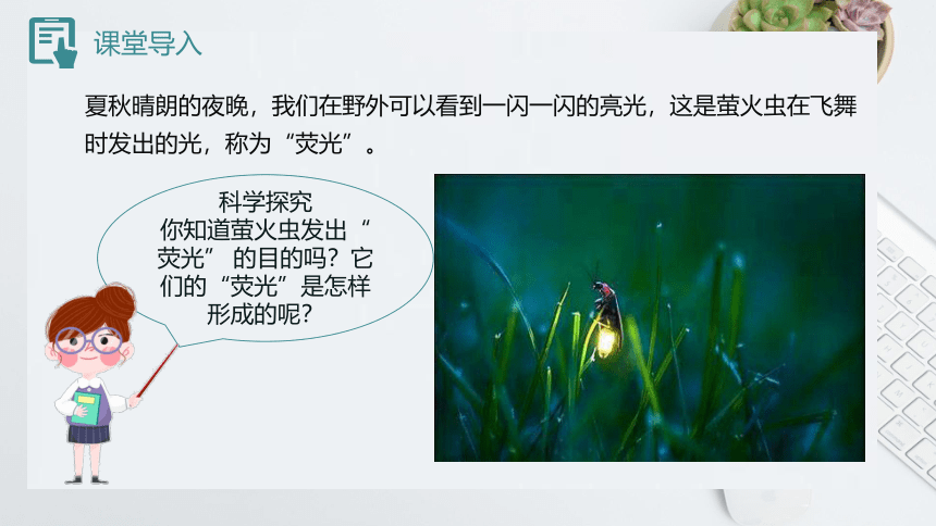 3.1 ATP是细胞内的“能量通货” 课件(共18张PPT)2022-2023学年高一上学期生物浙科版必修1