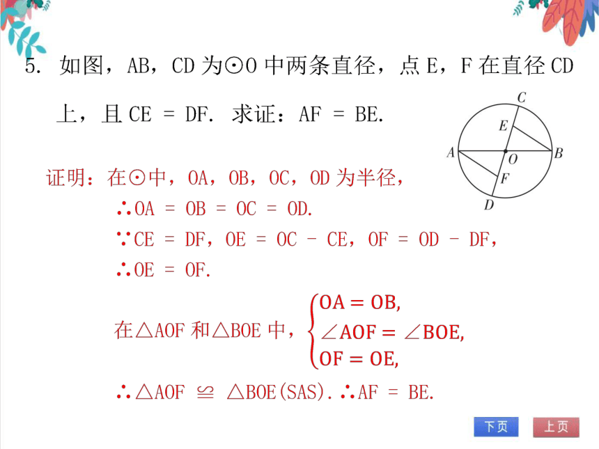 【北师大版】数学九年级（下）3.1 圆 习题课件