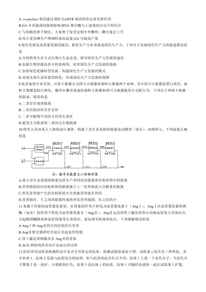 2024届福建省部分地市高中毕业班高三下学期4月诊断性质量检测生物试题（含答案）