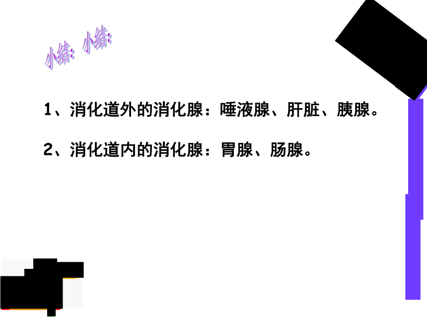 2.1.2.2 食物在胃肠内消化 课件  2020-2021学年冀少版生物七年级下册（20张PPT）