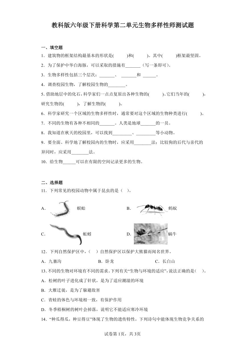 教科版六年级下册科学第二单元 生物多样性 测试题（含答案）