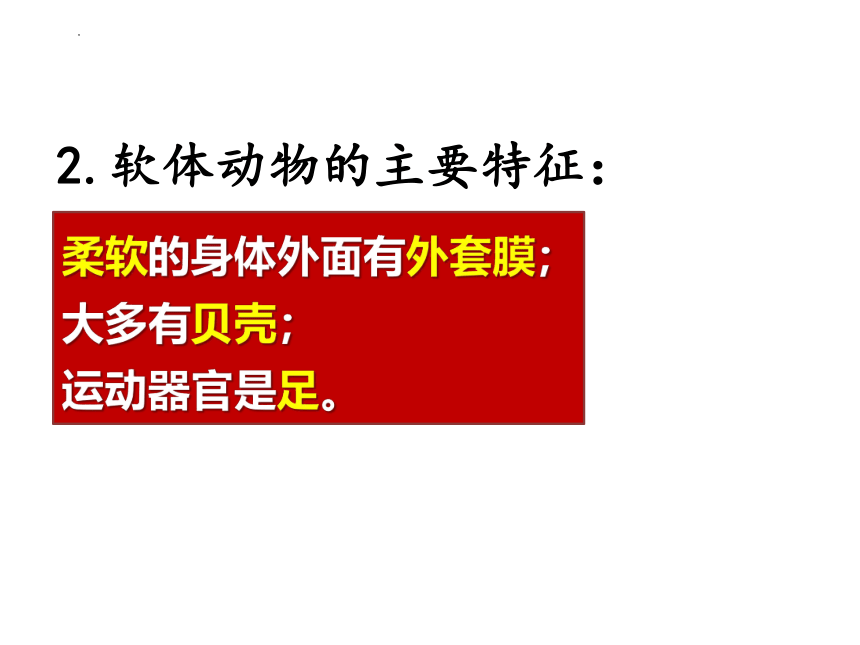 2021--2022学年人教版八年级生物上册  5.1.3.软体动物和节肢动物  课件    (共35张PPT)