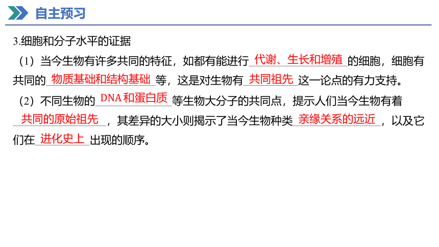 6.1 生物有共同祖先的证据 课件(共27张PPT) 2023-2024学年高一生物人教版（2019）必修第二册