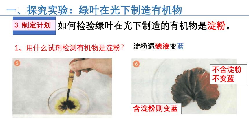 2022-2023学年人教版七年级生物上册 3.4 绿色植物是生物圈中有机物的制造者 课件  (共32张PPT)