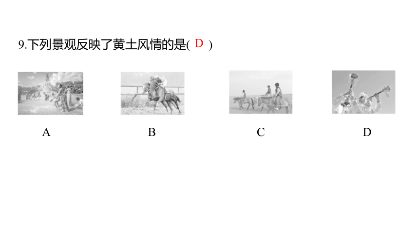 2024中考三轮复习课件 (36张PPT) 第31讲 贵州省和黄土高原