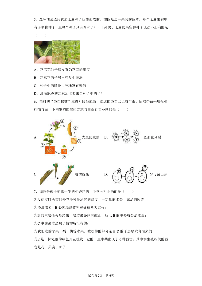 1.5植物生殖方式的多样性 同步练习（含解析）