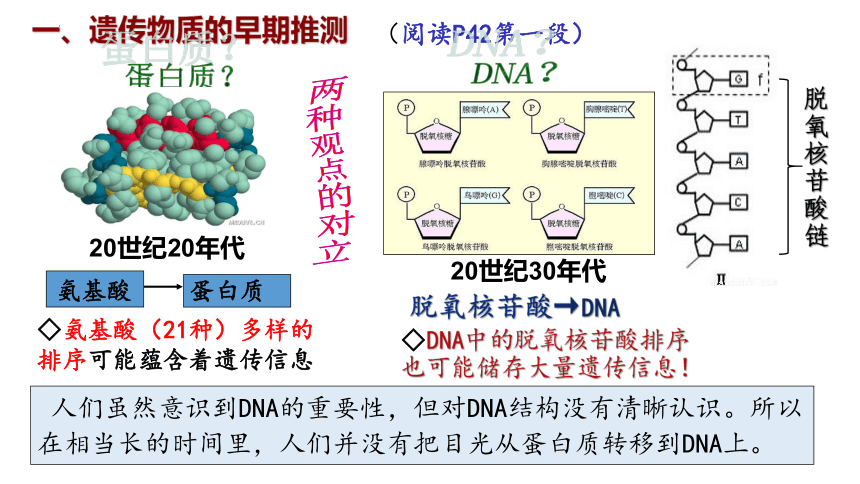 3.1DNA是主要遗传物质-(共29张PPT)课件人教版必修2