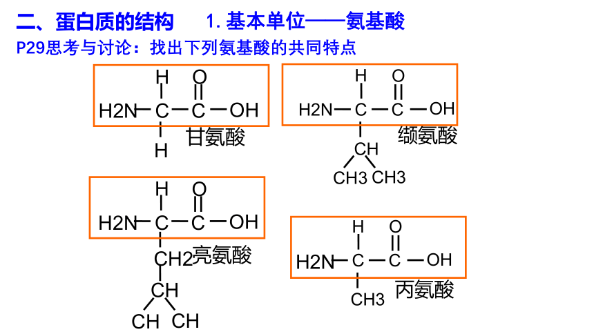 2021-2022学年高一上学期生物人教版必修一2.4蛋白质是生命活动的主要承担者 课件（共24张PPT）