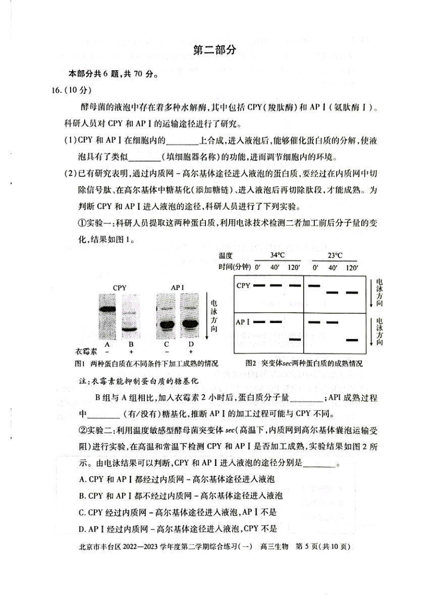 北京市丰台区2022-2023学年高三下学期一模考试生物试卷（pdf版无答案）