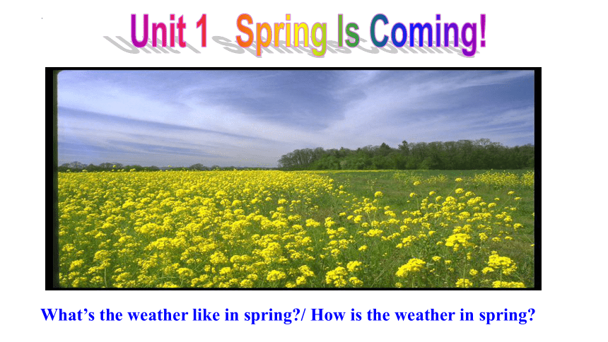 Unit 1 Lesson 1 How's the weather 课件+嵌入音频 (共43张PPT)