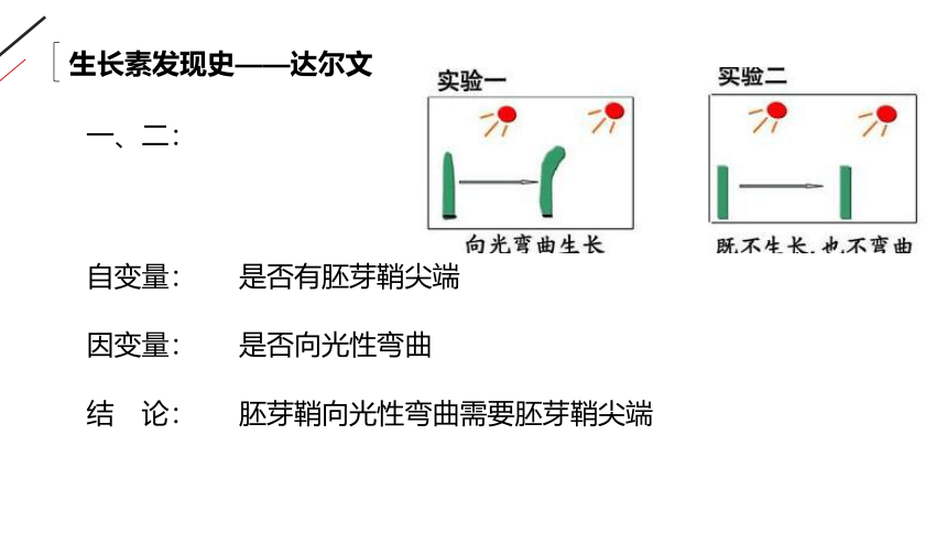 高中生物人教版必修3-3.1 植物生长素的发现 课件（共33张PPT）