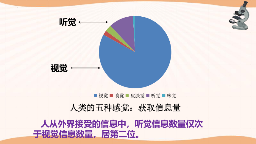 3.5.4人体对周围世界的感知（第2课时）课件(共41张PPT)2022-2023学年济南版生物七年级下册